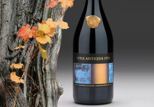 Cornalin Vitis Antiqua Leuk 1798 von der alten Rebe