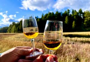 Whisky-Degustation im Hochmoor