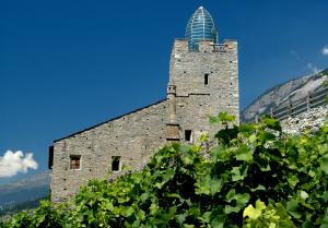 Bottaschloss Leuk mit Reben